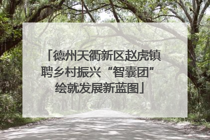 德州天衢新区赵虎镇聘乡村振兴“智囊团” 绘就发展新蓝图