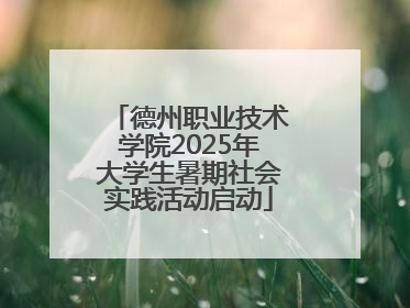 德州职业技术学院2025年大学生暑期社会实践活动启动
