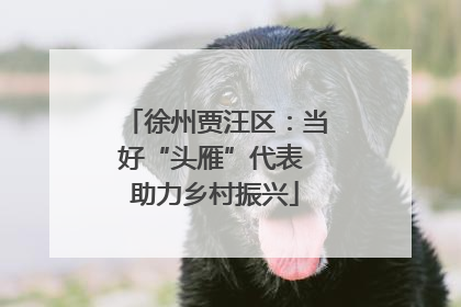徐州贾汪区：当好“头雁”代表 助力乡村振兴