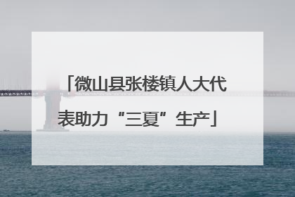 微山县张楼镇人大代表助力“三夏”生产
