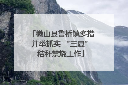 微山县鲁桥镇多措并举抓实 “三夏” 秸秆禁烧工作