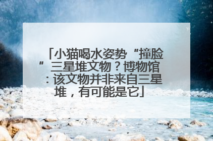 小猫喝水姿势“撞脸”三星堆文物？博物馆：该文物并非来自三星堆，有可能是它