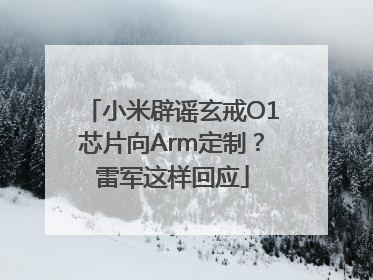 小米辟谣玄戒O1芯片向Arm定制？雷军这样回应