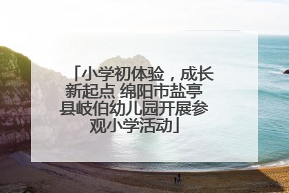 小学初体验，成长新起点 绵阳市盐亭县岐伯幼儿园开展参观小学活动