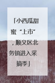 小西瓜甜蜜“上市”，顺义区北务镇进入采摘季