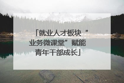 就业人才板块“业务微课堂”赋能青年干部成长
