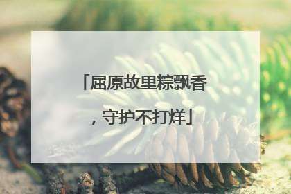 屈原故里粽飘香，守护不打烊