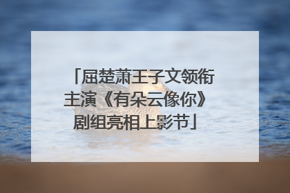 屈楚萧王子文领衔主演《有朵云像你》剧组亮相上影节