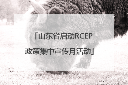 山东省启动RCEP政策集中宣传月活动