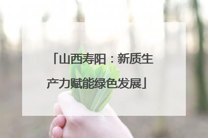 山西寿阳：新质生产力赋能绿色发展
