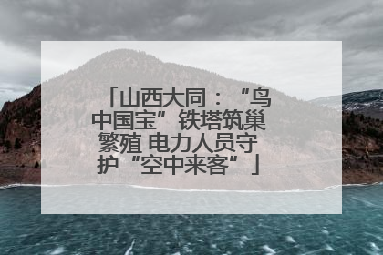山西大同：“鸟中国宝”铁塔筑巢繁殖 电力人员守护“空中来客”