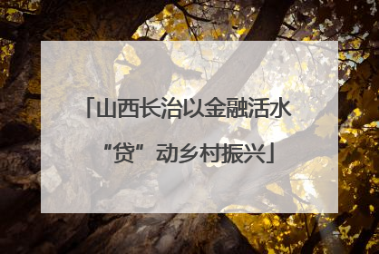 山西长治以金融活水“贷”动乡村振兴