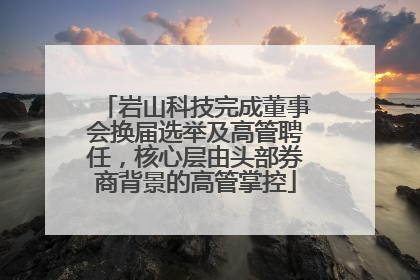 岩山科技完成董事会换届选举及高管聘任，核心层由头部券商背景的高管掌控