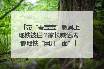 带“蚕宝宝”教具上地铁被拦？家长喊话成都地铁“网开一面”