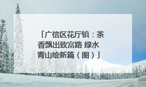 广信区花厅镇：茶香飘出致富路 绿水青山绘新篇（图）