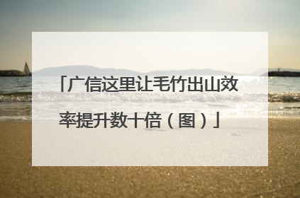 广信这里让毛竹出山效率提升数十倍（图）