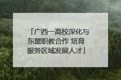 广西一高校深化与东盟职教合作 培育服务区域发展人才