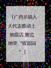 广西乡镇人大代表推动土地盘活 撂荒地变“致富园”