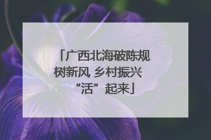 广西北海破陈规树新风 乡村振兴“活”起来