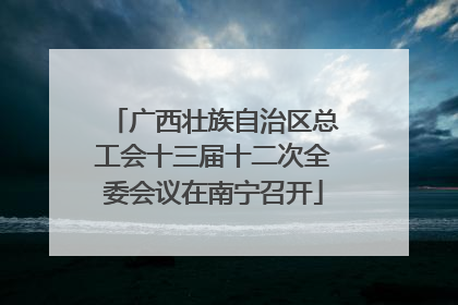 广西壮族自治区总工会十三届十二次全委会议在南宁召开
