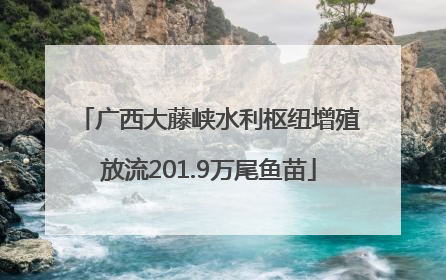 广西大藤峡水利枢纽增殖放流201.9万尾鱼苗
