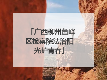 广西柳州鱼峰区检察院法治阳光护青春