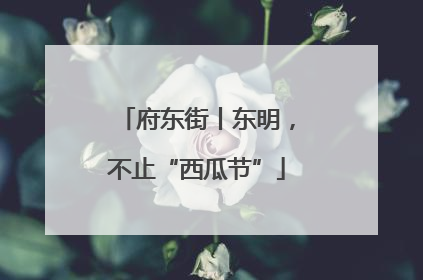 府东街丨东明，不止“西瓜节”
