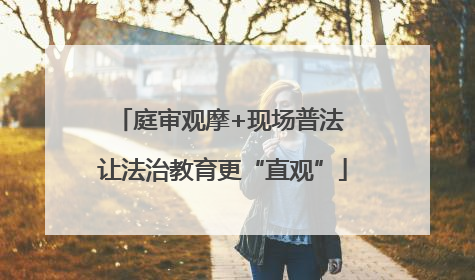 庭审观摩+现场普法 让法治教育更“直观”