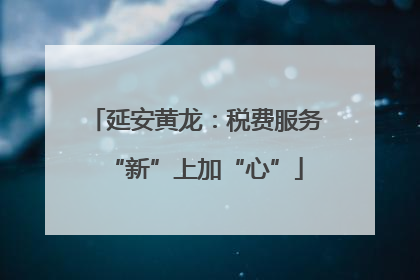 延安黄龙：税费服务“新”上加“心”