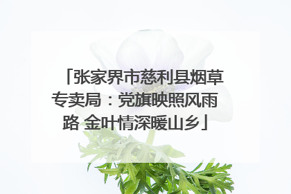 张家界市慈利县烟草专卖局：党旗映照风雨路 金叶情深暖山乡