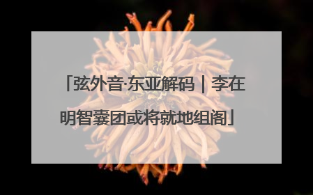 弦外音·东亚解码｜李在明智囊团或将就地组阁