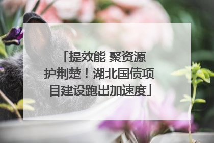 提效能 聚资源 护荆楚！湖北国债项目建设跑出加速度