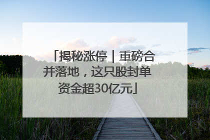 揭秘涨停｜重磅合并落地，这只股封单资金超30亿元