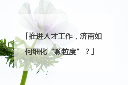 推进人才工作，济南如何细化“颗粒度”？