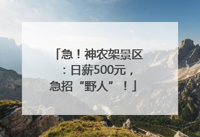 急！神农架景区：日薪500元，急招“野人”！