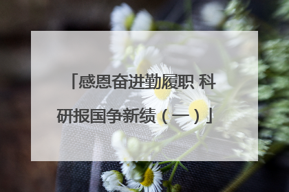 感恩奋进勤履职 科研报国争新绩（一）