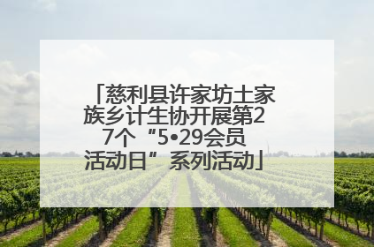 慈利县许家坊土家族乡计生协开展第27个“5•29会员活动日”系列活动