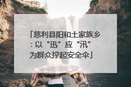 慈利县阳和土家族乡：以“迅”应“汛” 为群众撑起安全伞