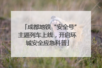 成都地铁“安全号”主题列车上线，开启环城安全应急科普