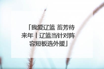 我爱辽篮 蓄芳待来年丨辽篮当针对阵容短板选外援