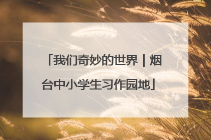 我们奇妙的世界｜烟台中小学生习作园地