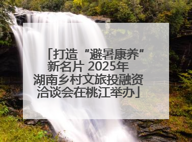 打造“避暑康养”新名片 2025年湖南乡村文旅投融资洽谈会在桃江举办