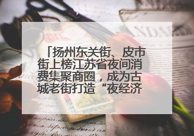 扬州东关街、皮市街上榜江苏省夜间消费集聚商圈，成为古城老街打造“夜经济”的样本