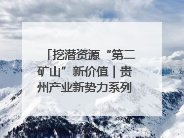 挖潜资源“第二矿山”新价值｜贵州产业新势力系列报道之十四