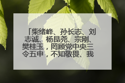 柴绪峰、孙长志、刘志诚、杨昆尧、宗刚、樊桂玉，罔顾党中央三令五申，不知敬畏、我行我素、肆意妄为！