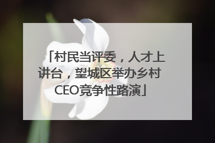 村民当评委，人才上讲台，望城区举办乡村CEO竞争性路演