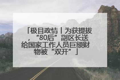 极目政情丨为获提拔，“80后”副区长送给国家工作人员巨额财物被“双开”