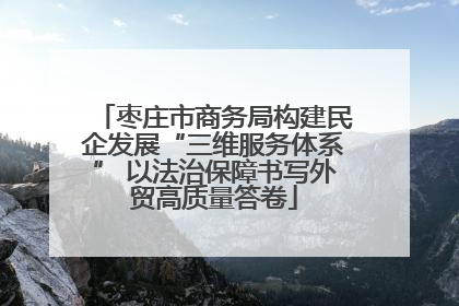 枣庄市商务局构建民企发展“三维服务体系” 以法治保障书写外贸高质量答卷
