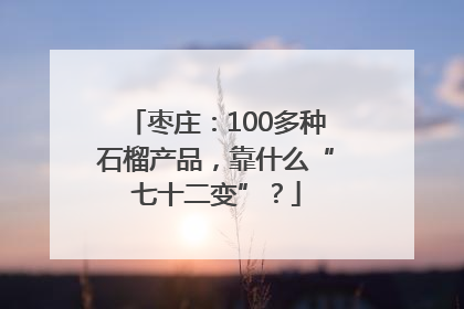 枣庄：100多种石榴产品，靠什么“七十二变”？