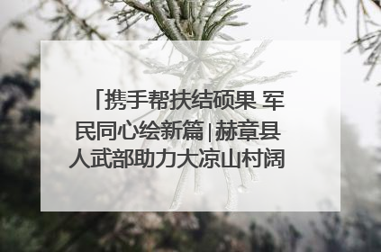携手帮扶结硕果 军民同心绘新篇∣赫章县人武部助力大凉山村阔步乡村振兴路